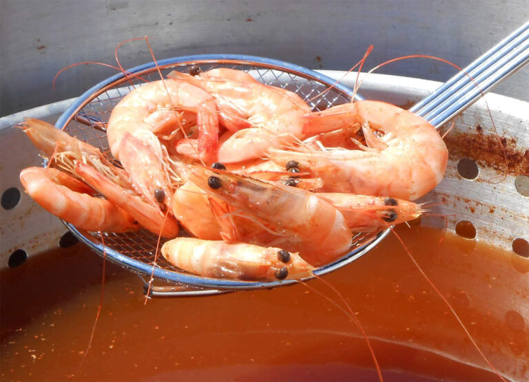 Coastal Crab Package – Cooker with 42 Qt. Aluminum Pot