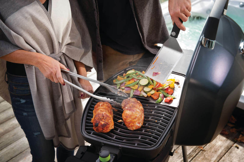 Napoleon TravelQ PRO285E Electric Grill