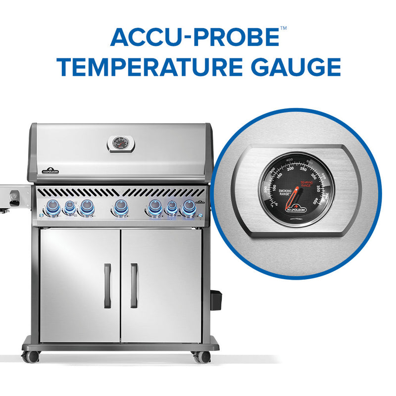 Rogue® PRO-S 625 RSIB