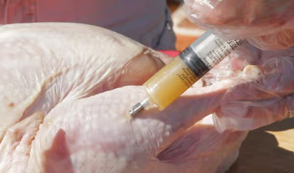 Marinade Injector